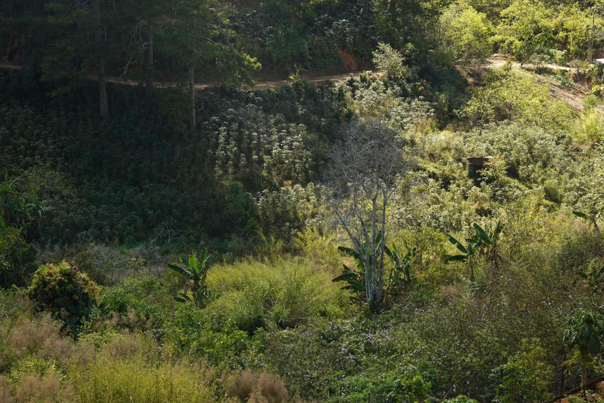 Emai Valley Dalat Exteriör bild